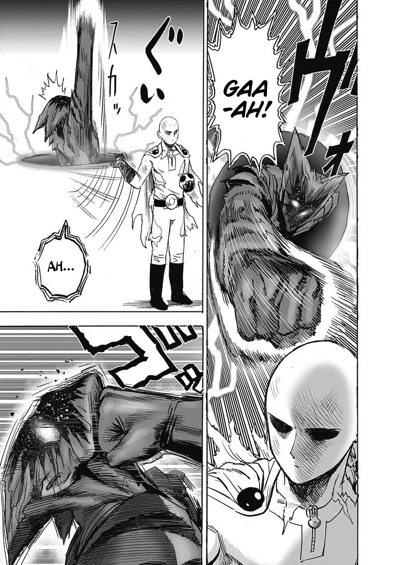 One Punch Man Chapter 167 Image 24