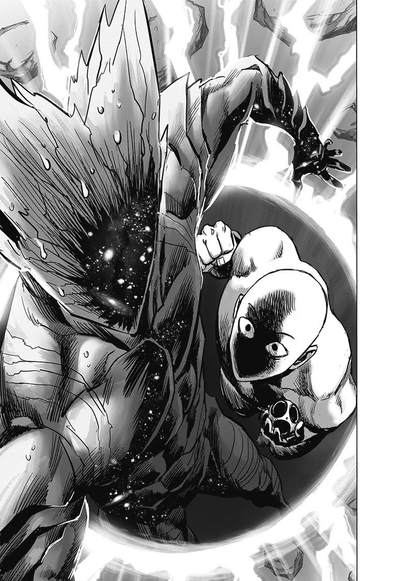 One Punch Man Chapter 167 Image 43