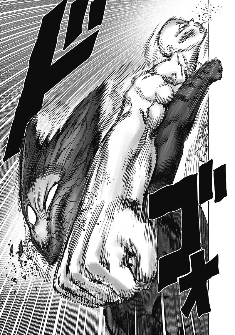 One Punch Man Chapter 167 Image 52