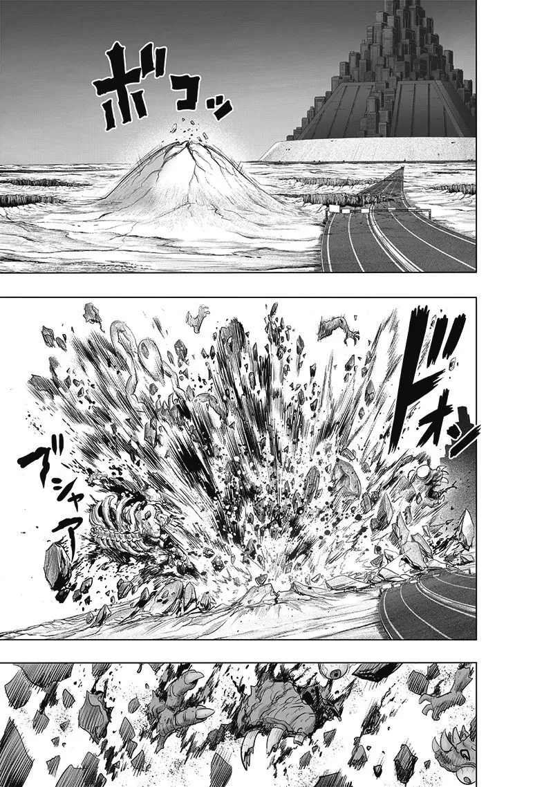 One Punch Man Chapter 183 Image 16