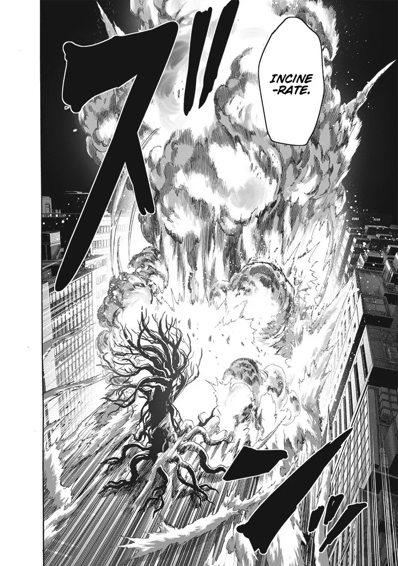 One Punch Man Chapter 185 Image 25