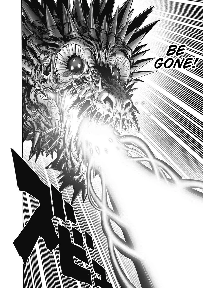 One Punch Man Chapter 193 Image 16