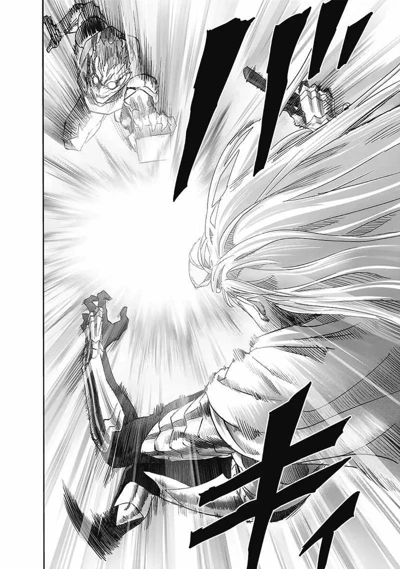 One Punch Man Chapter 201 Image 19