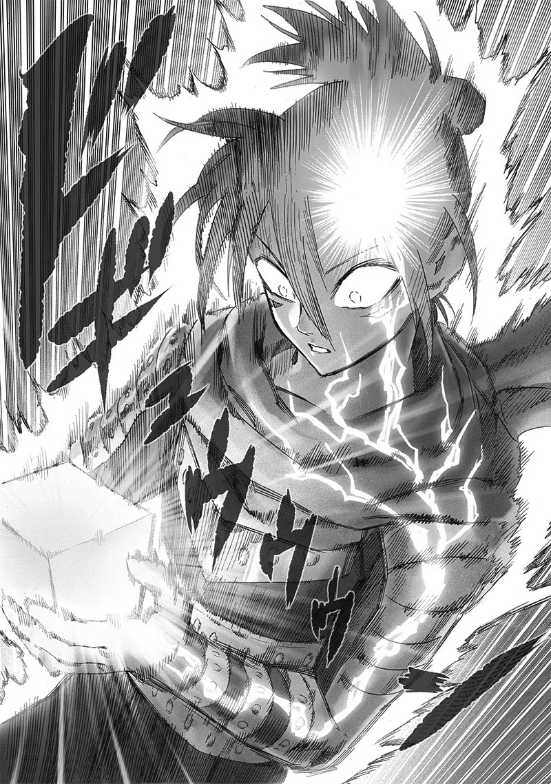 One Punch Man Chapter 203 Image 10