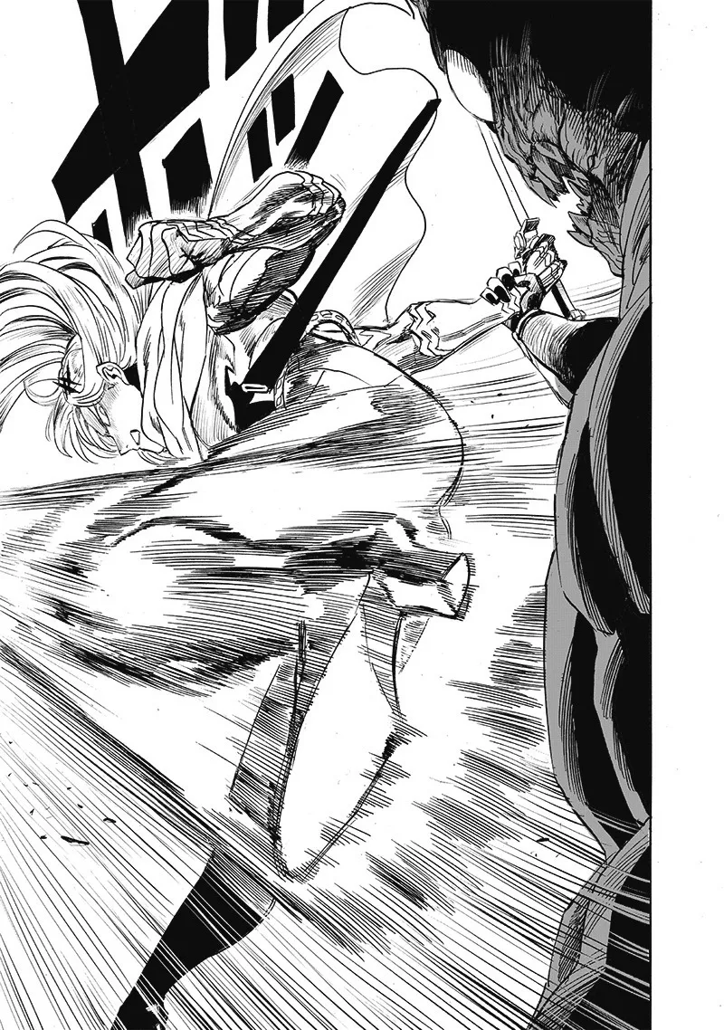 One Punch Man Chapter 203 Image 13