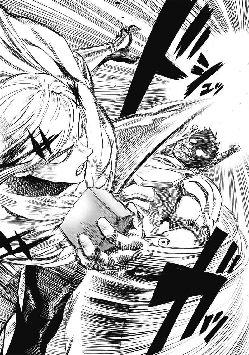 One Punch Man Chapter 203 Image 14