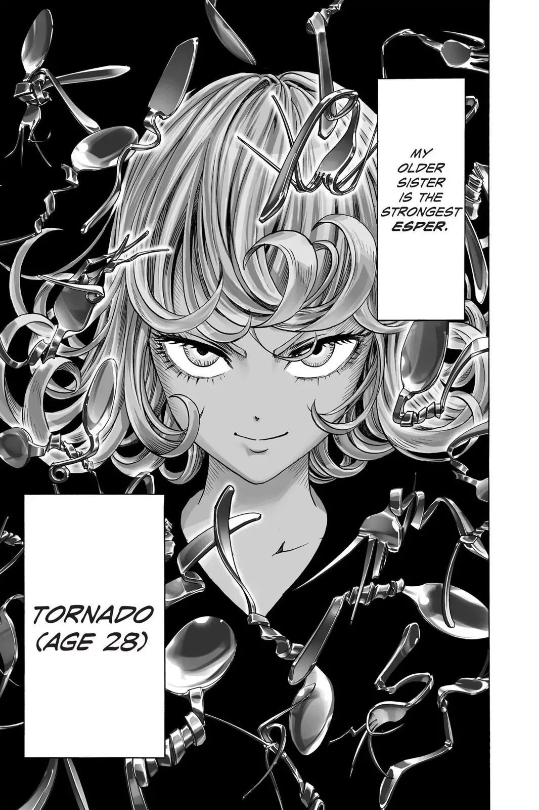 One Punch Man Chapter 45 Image 3