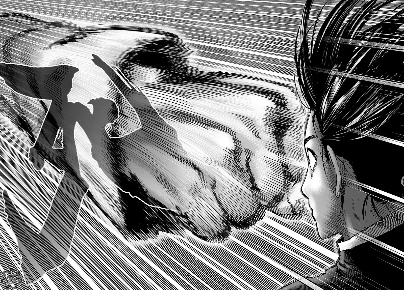 One Punch Man Chapter 70b Image 31