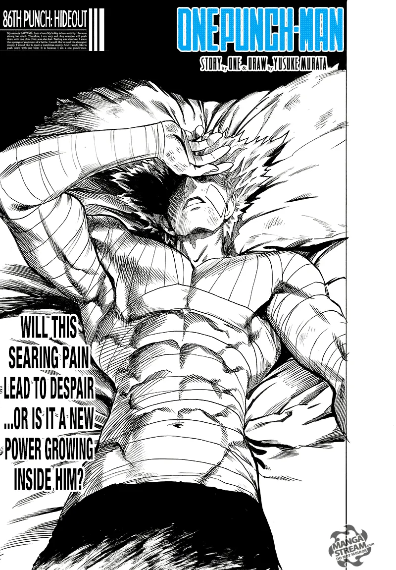 One Punch Man Chapter 86 Image 1