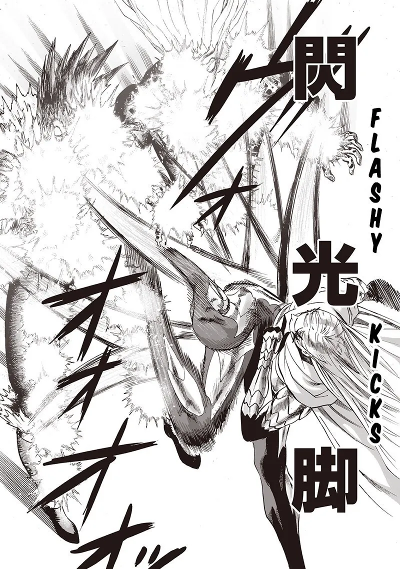 One Punch Man Chapter 96 Image 22