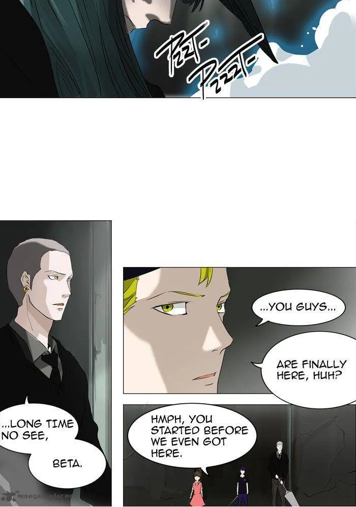 Tower Of God Chapter 221 Image 31