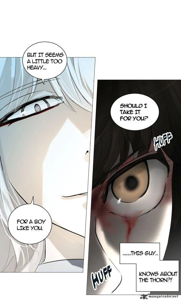 Tower Of God Chapter 244 Image 29