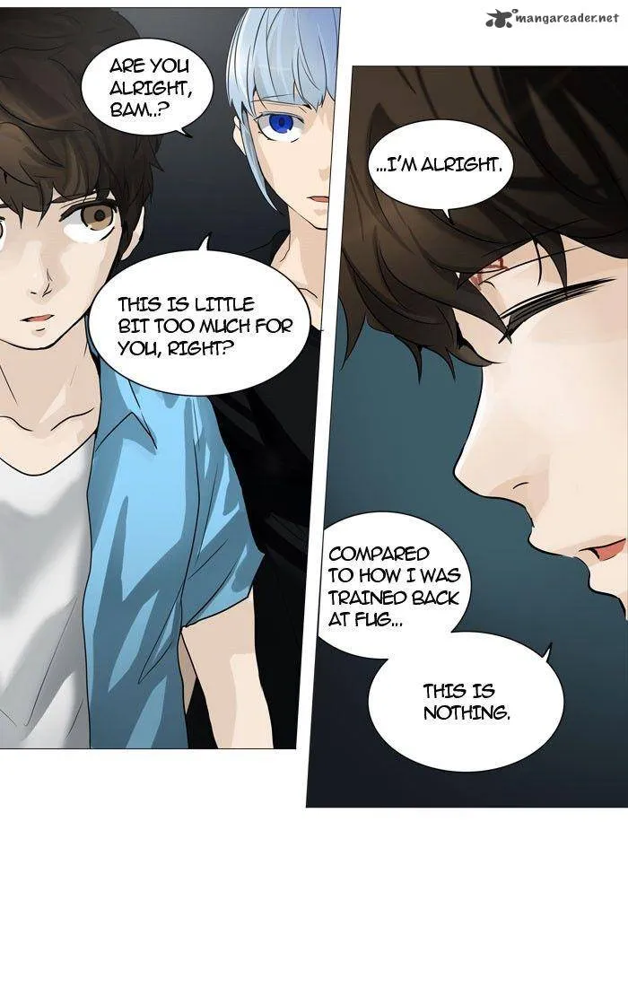 Tower Of God Chapter 248 Image 29