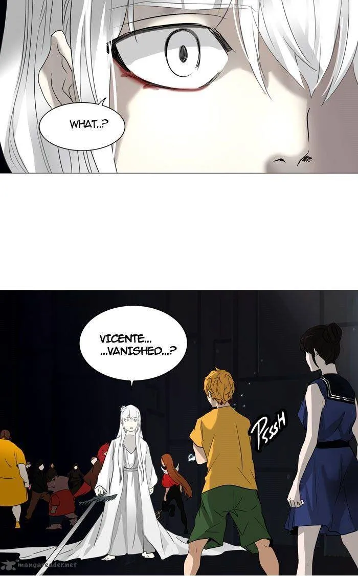 Tower Of God Chapter 248 Image 99