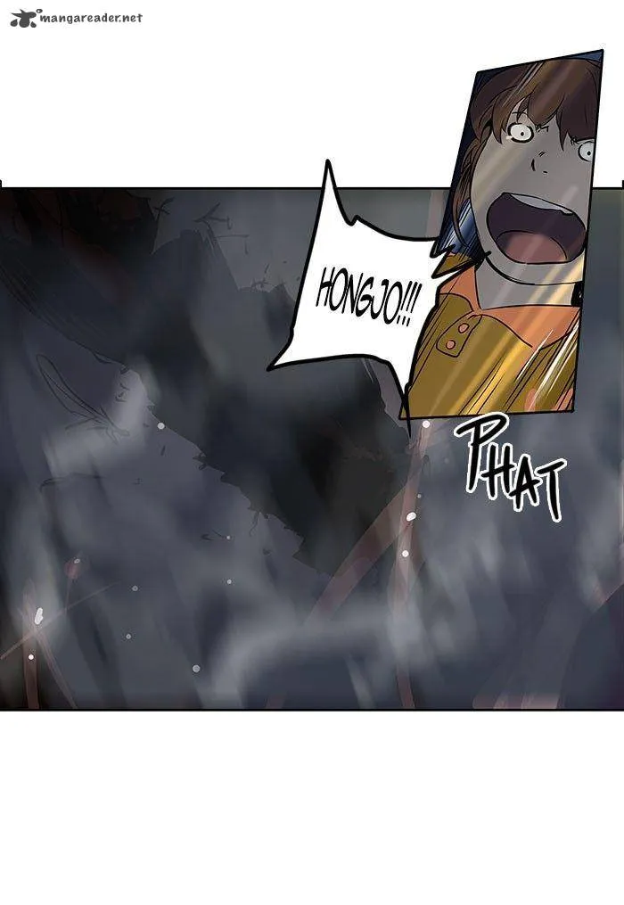 Tower Of God Chapter 257 Image 29