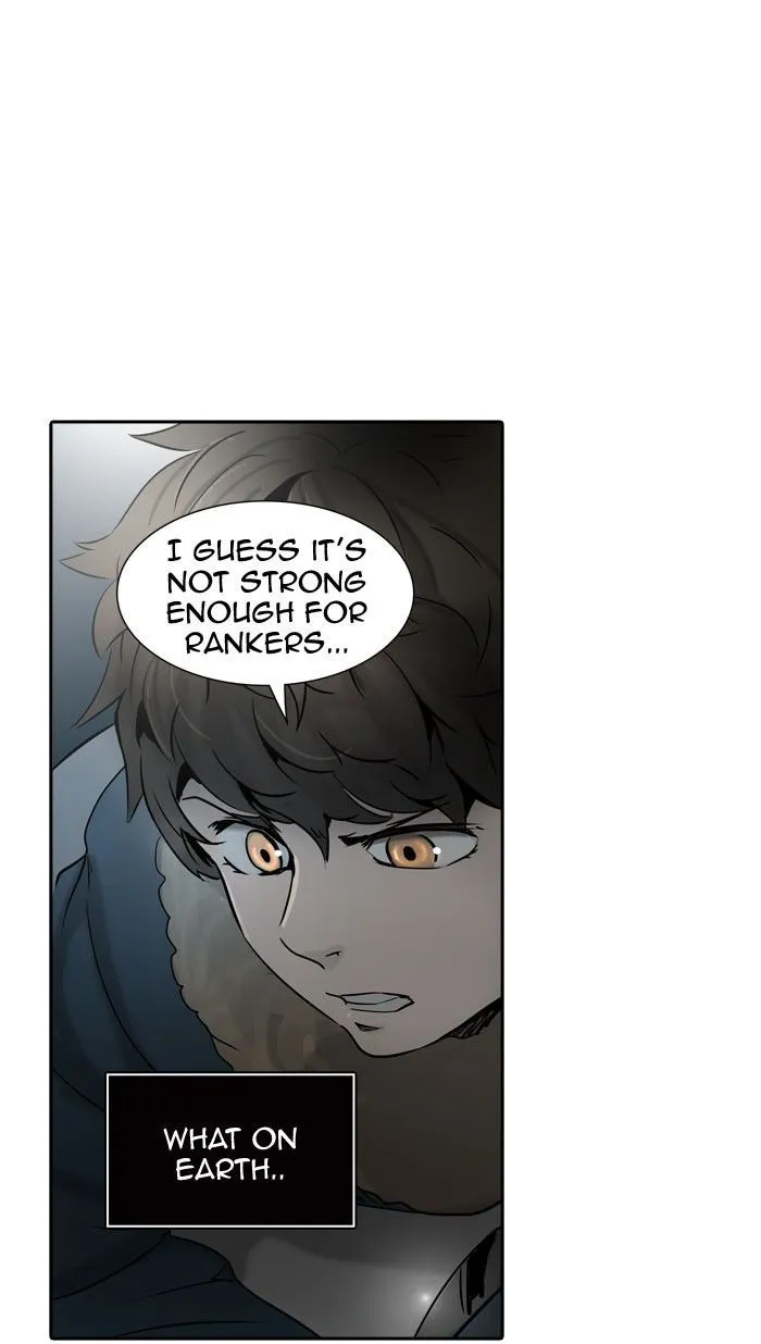 Tower Of God Chapter 314 Image 3