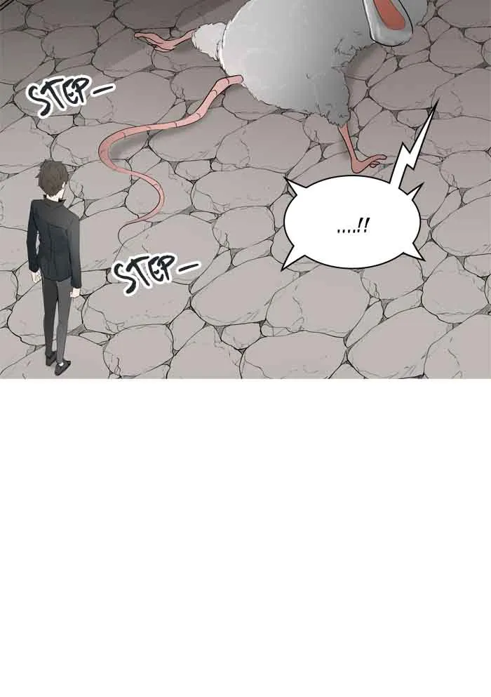 Tower Of God Chapter 357 Image 15