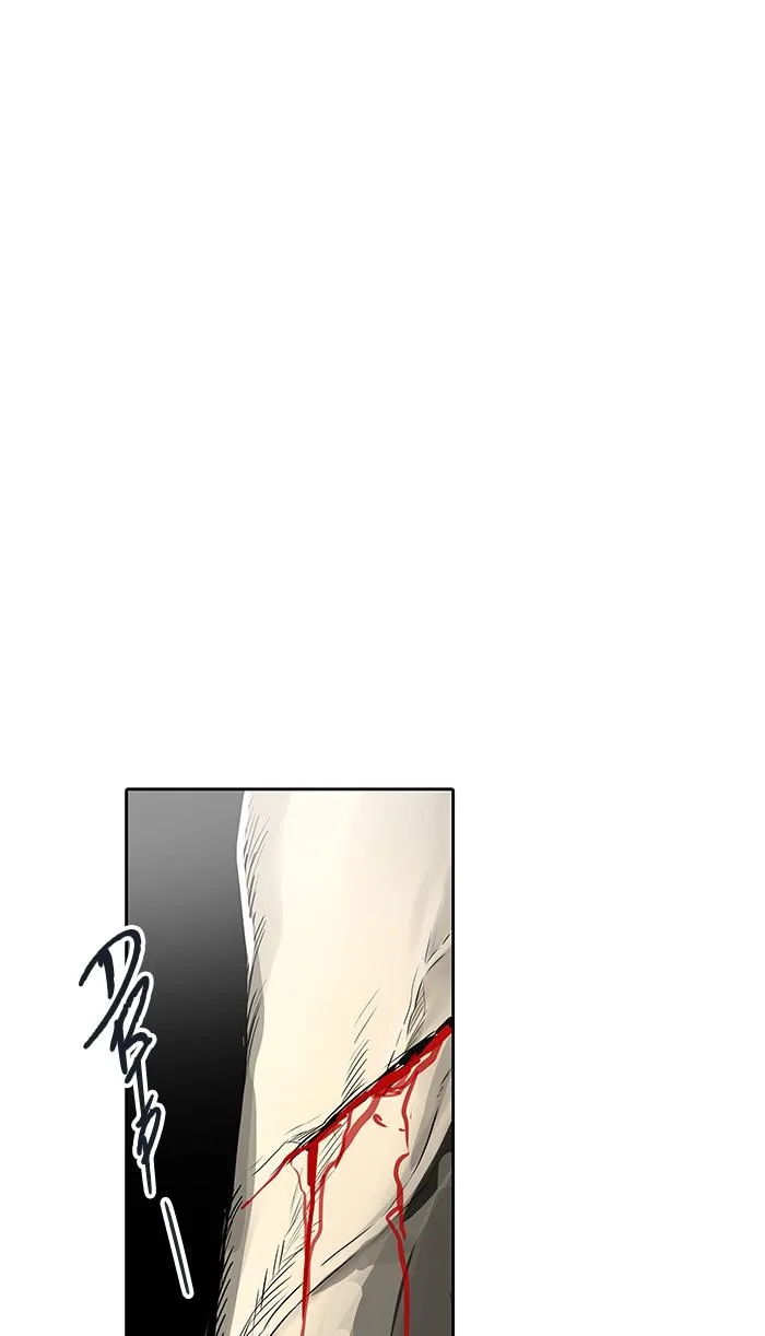 Tower Of God Chapter 461 Image 29