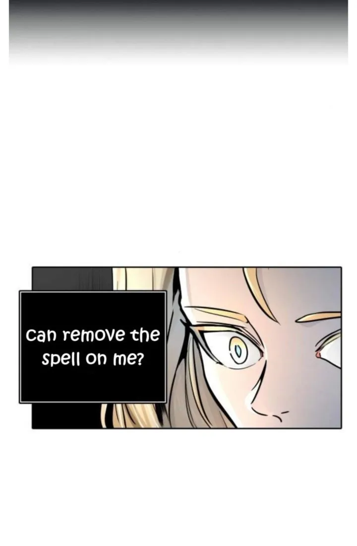 Tower Of God Chapter 495 Image 244