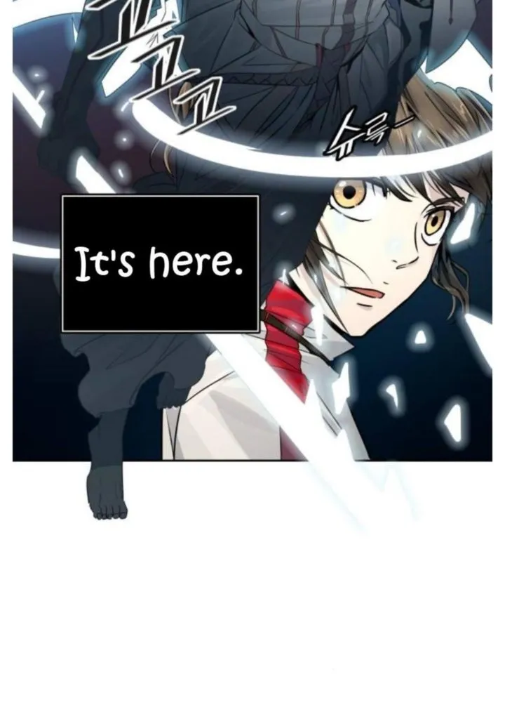 Tower Of God Chapter 495 Image 331