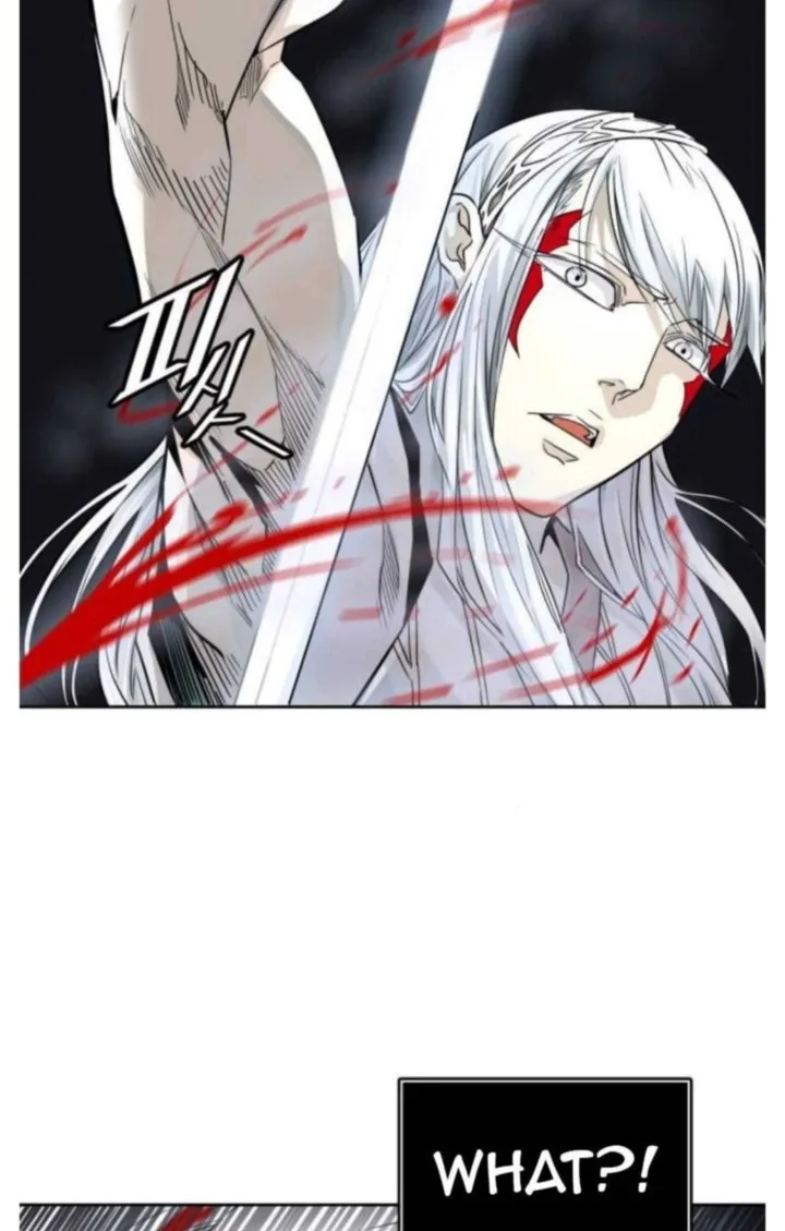 Tower Of God Chapter 498 Image 51