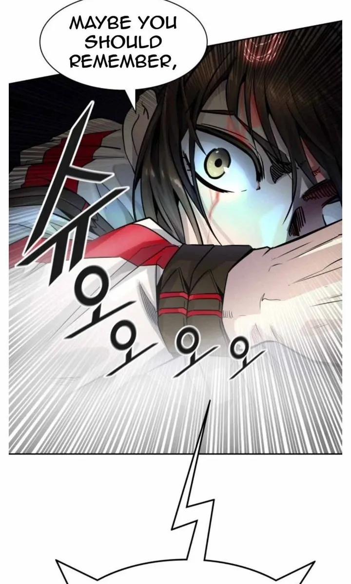 Tower Of God Chapter 504 Image 221